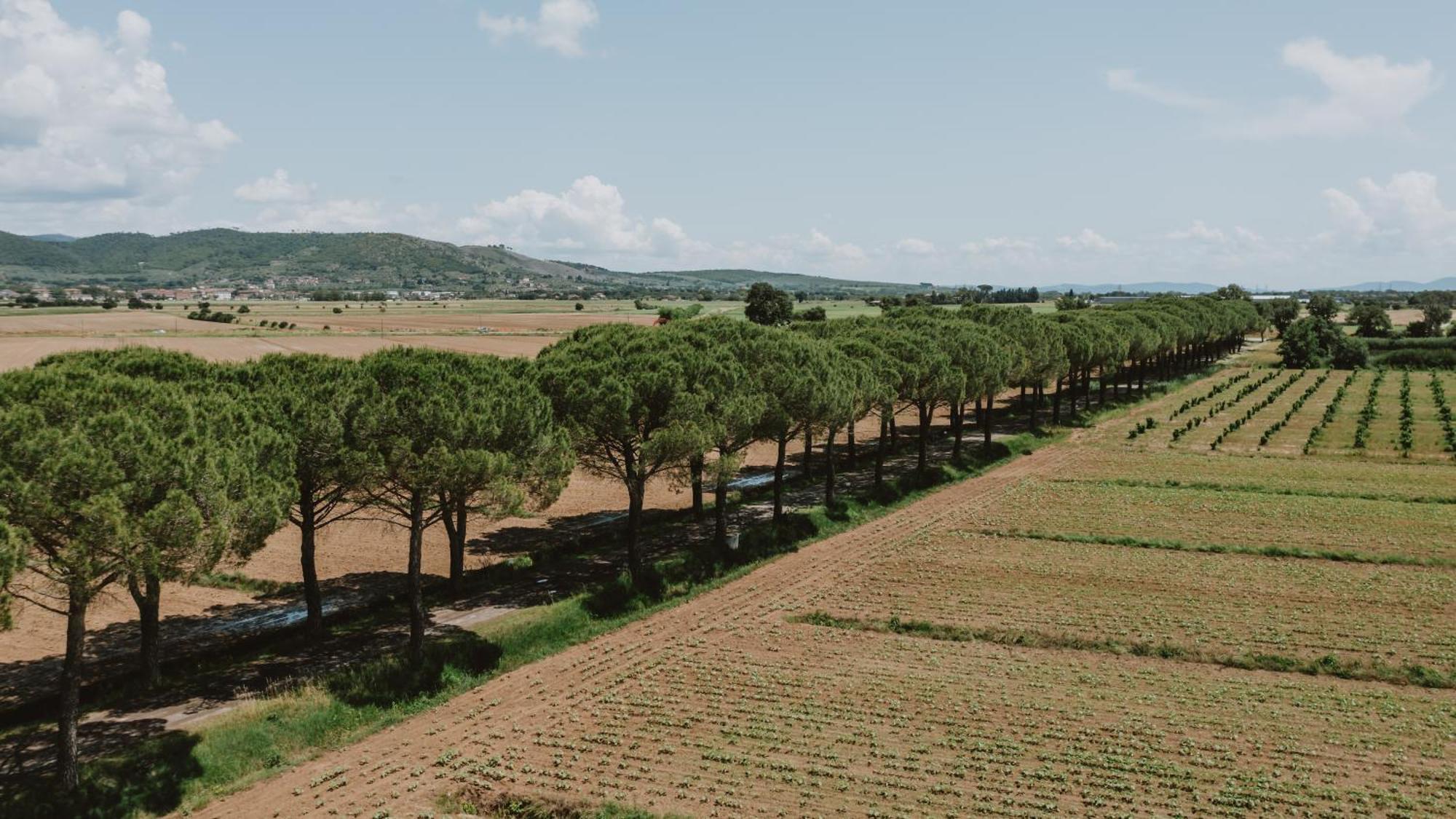 Terra Di Cortona Villa Exterior photo